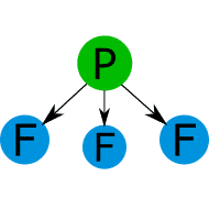 Momentos dipolares de los enlaces de la molécula de agua PF3