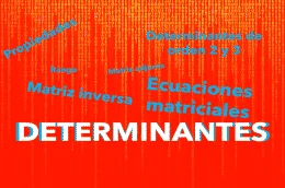 DETERMINANTES